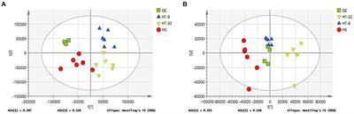 Effects of taurine on metabolomics of bovine mammary epithelial cells under high temperature conditions